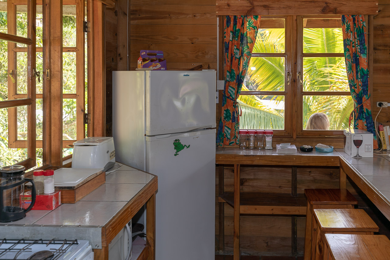 Toad Heights at Castara Villas: the kitchen
